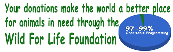 WFLF Charitable Impact